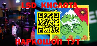шишки Кимры