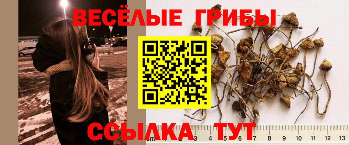 Галлюциногенные грибы Psilocybe  Псилоцибиновые грибы Cubensis  Вход с VPN  Бирск 